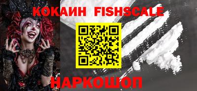 крисы Кулебаки