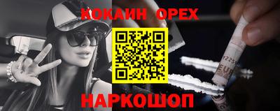 крисы Кулебаки