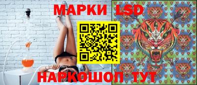 крисы Кулебаки