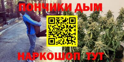 крисы Кулебаки